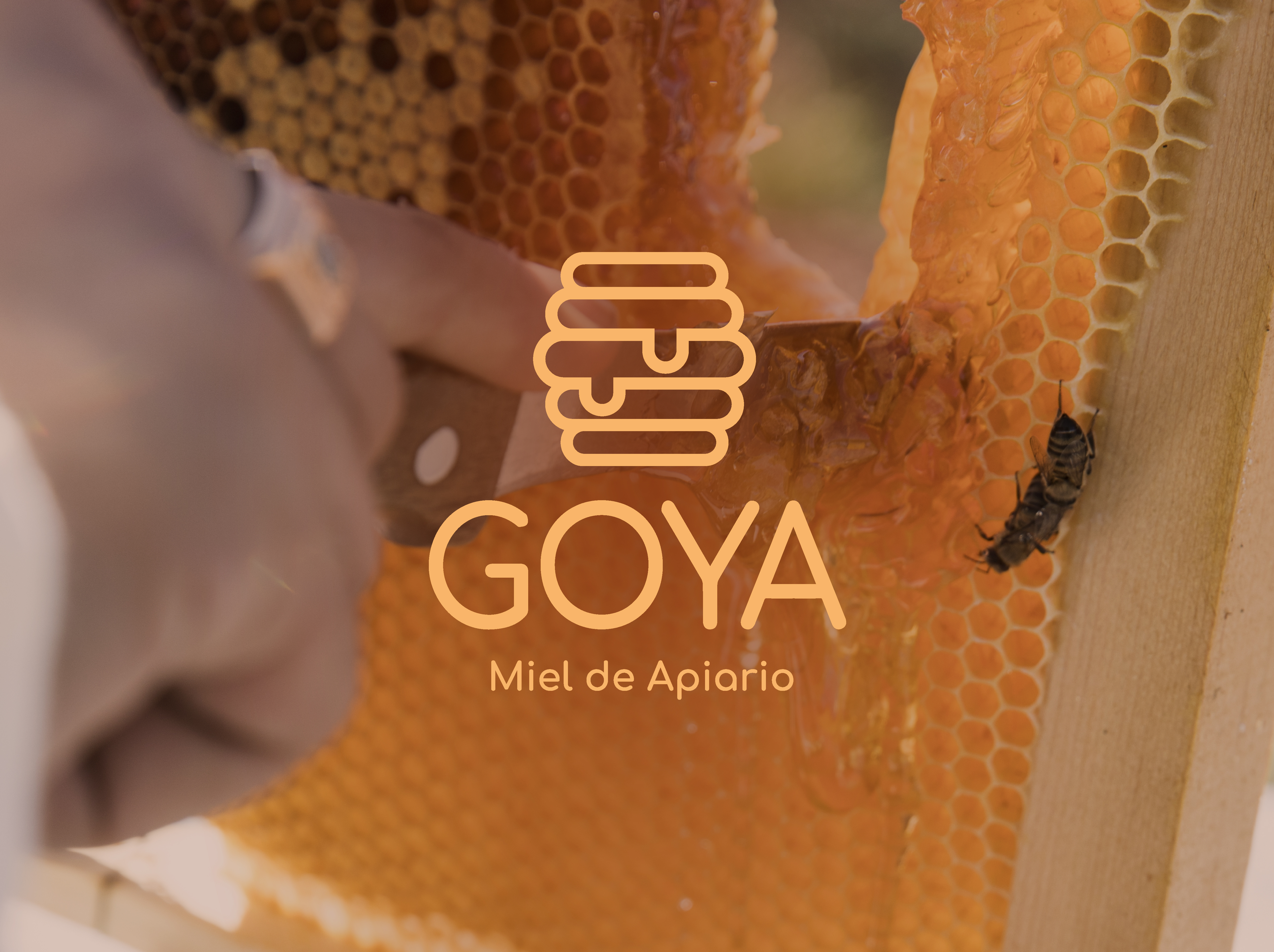 GOYA Miel y Derivados